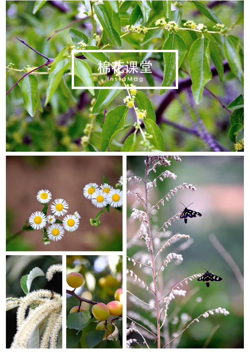 1528627052915778.png 圖片 1.png