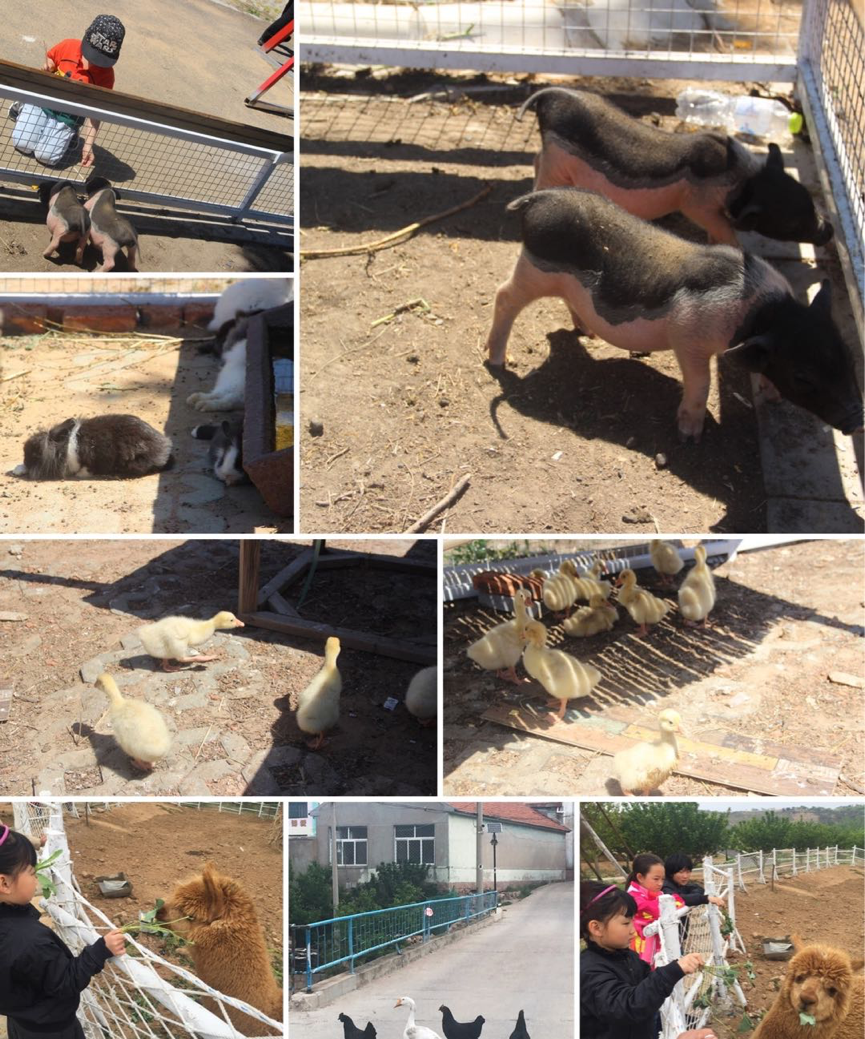 1528627106317949.png 圖片 1.png