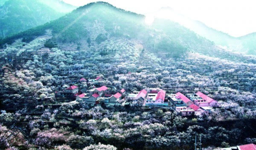 1528627364161751.png 圖片 1.png