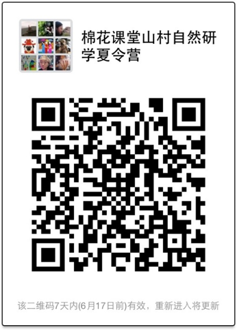 1528627393542330.png 圖片 1.png